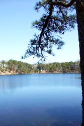 Trout Pond - Riverbay Estates in Chatham, MA